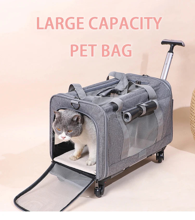 S6b29806103eb42e8a030ee1a3068373dM - Pet Centric