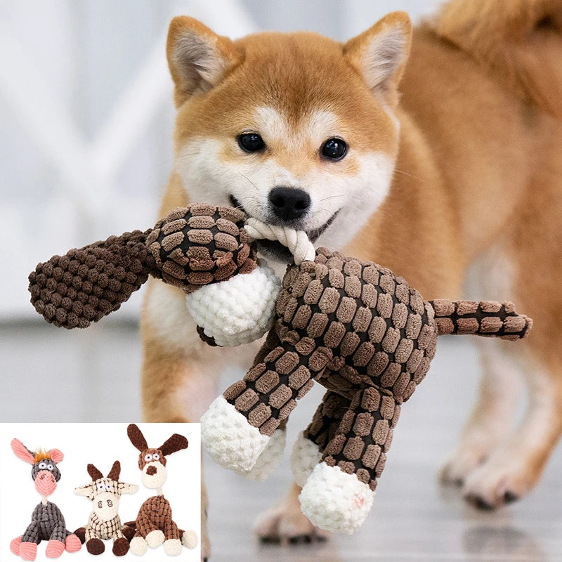 S6b308a438b994978be4c49ec32f5862di - Pet Centric