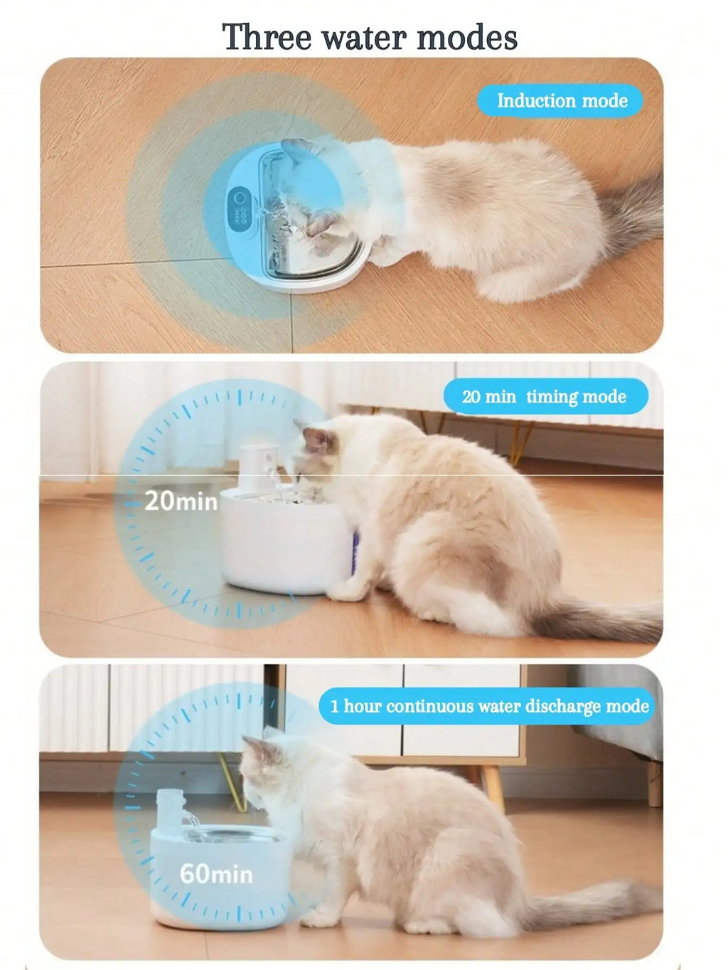 S6ccd994680564354ab2ad1fa0b6911daj - Pet Centric
