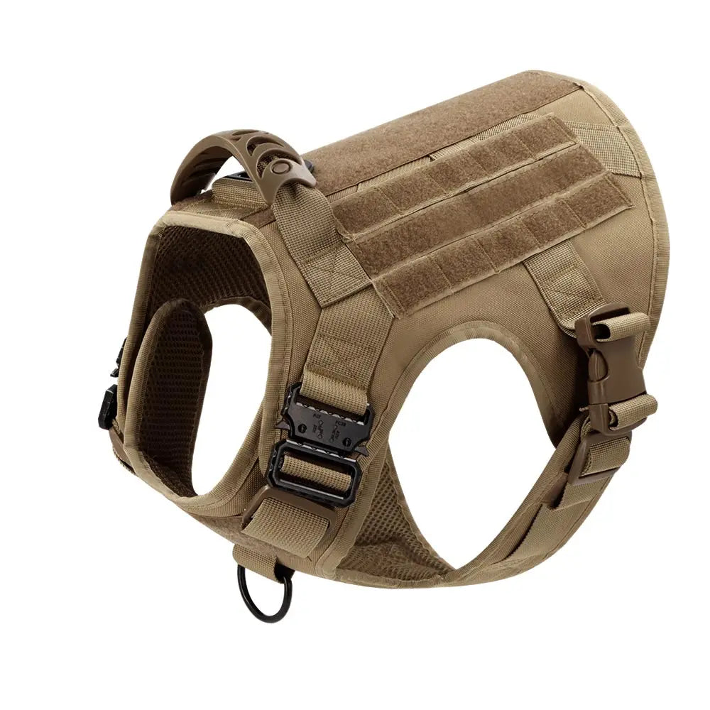 S704ec082b9194fe3af10ecac56b7ee360 - Pet Centric
