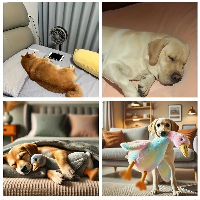 S715234f55fe84210a4e9cd12d871507d3 - Pet Centric