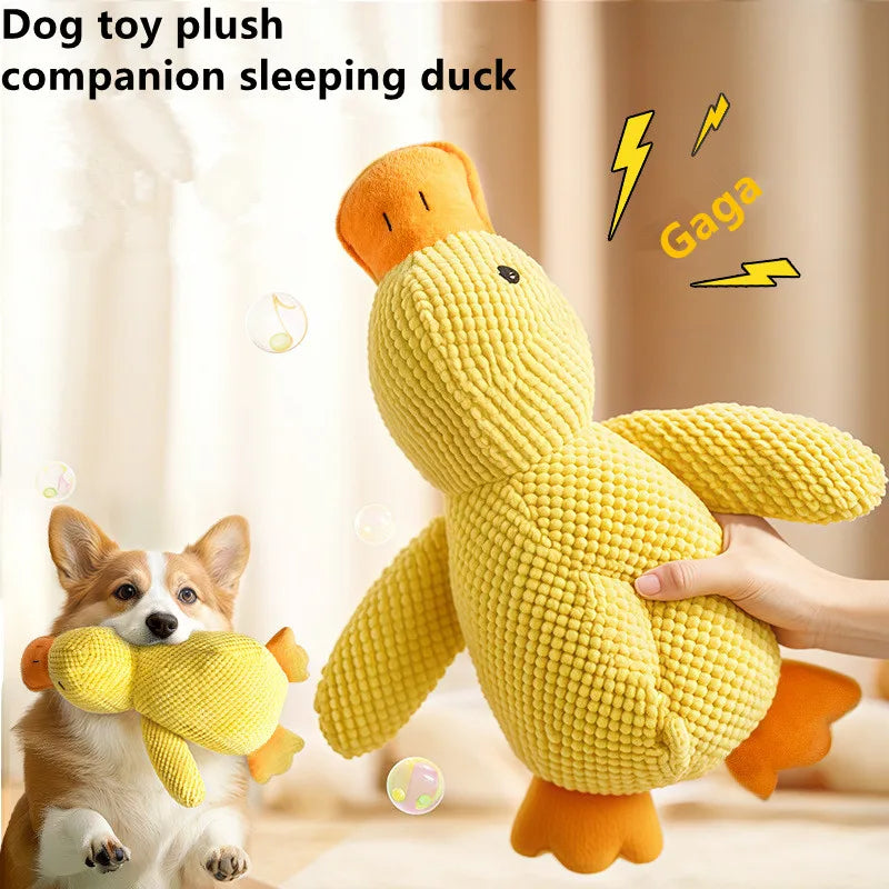 S7400808045874fe9a15a8b7f117555f7W - Pet Centric