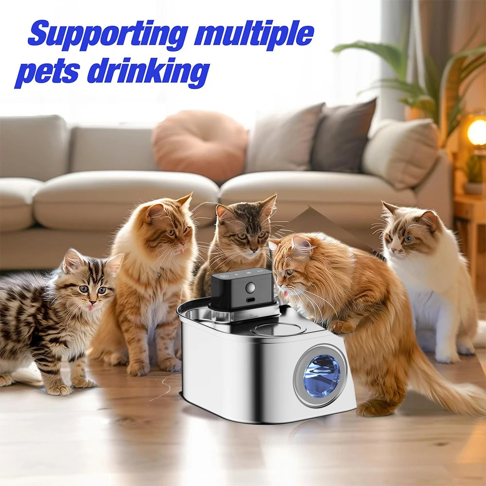 S7c762d6e8f6143ec90aaeb5fd89a3aaeo - Pet Centric