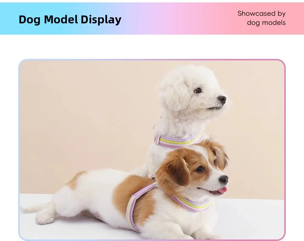 S80bab7a815ce417d8f0e3149e8437aeaG - Pet Centric