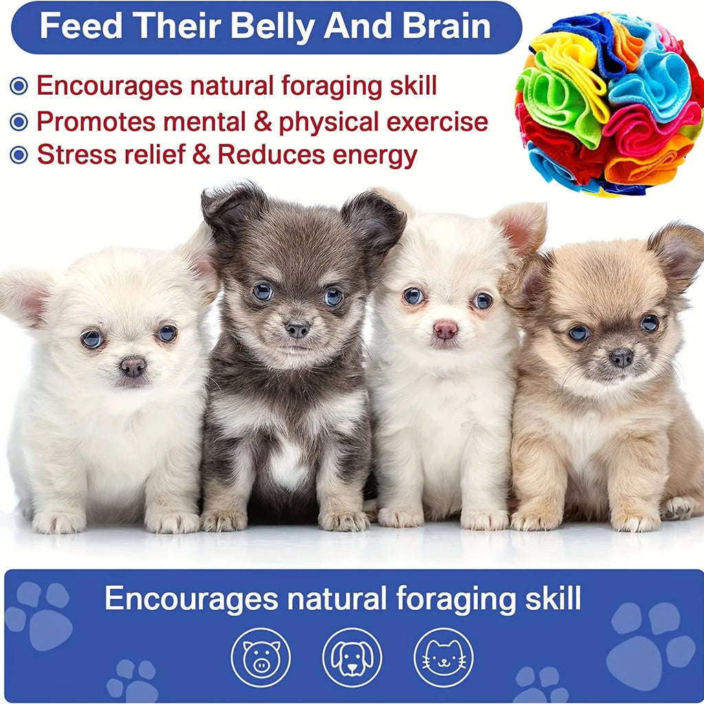 S8129c542769547d48293416df2e5b6513 - Pet Centric