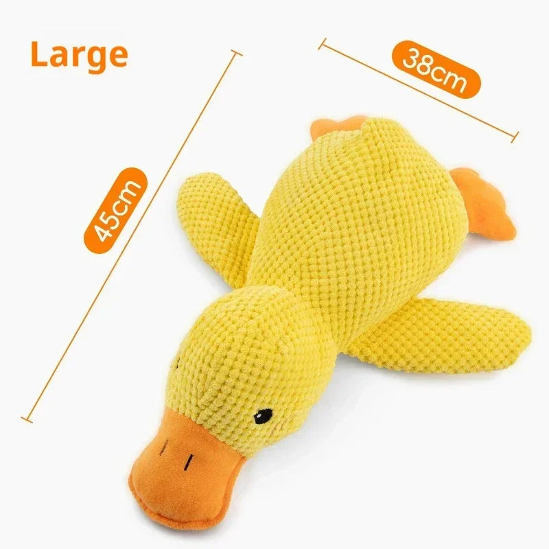 S82652878c52e44ffa0acd034817a0508T - Pet Centric