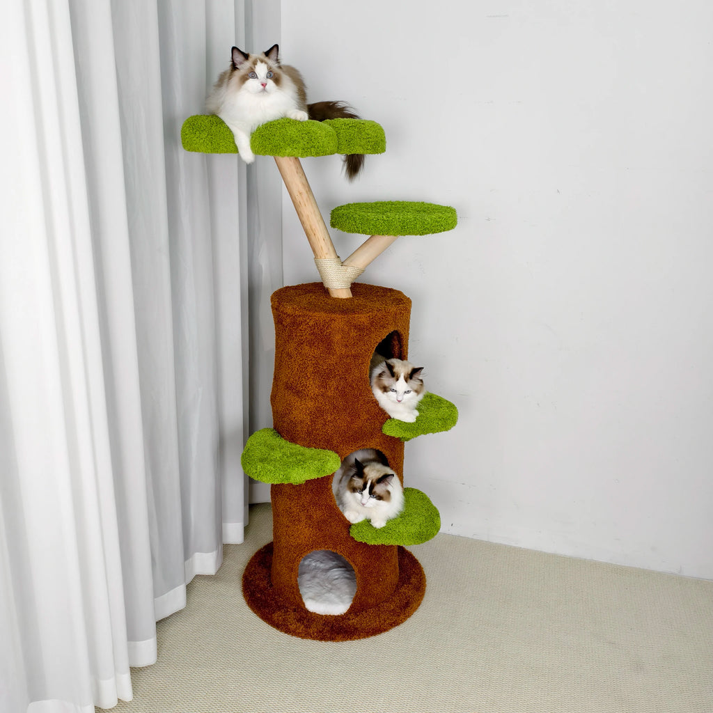 S82a1f59222d443678b9780726979d9ebS - Pet Centric