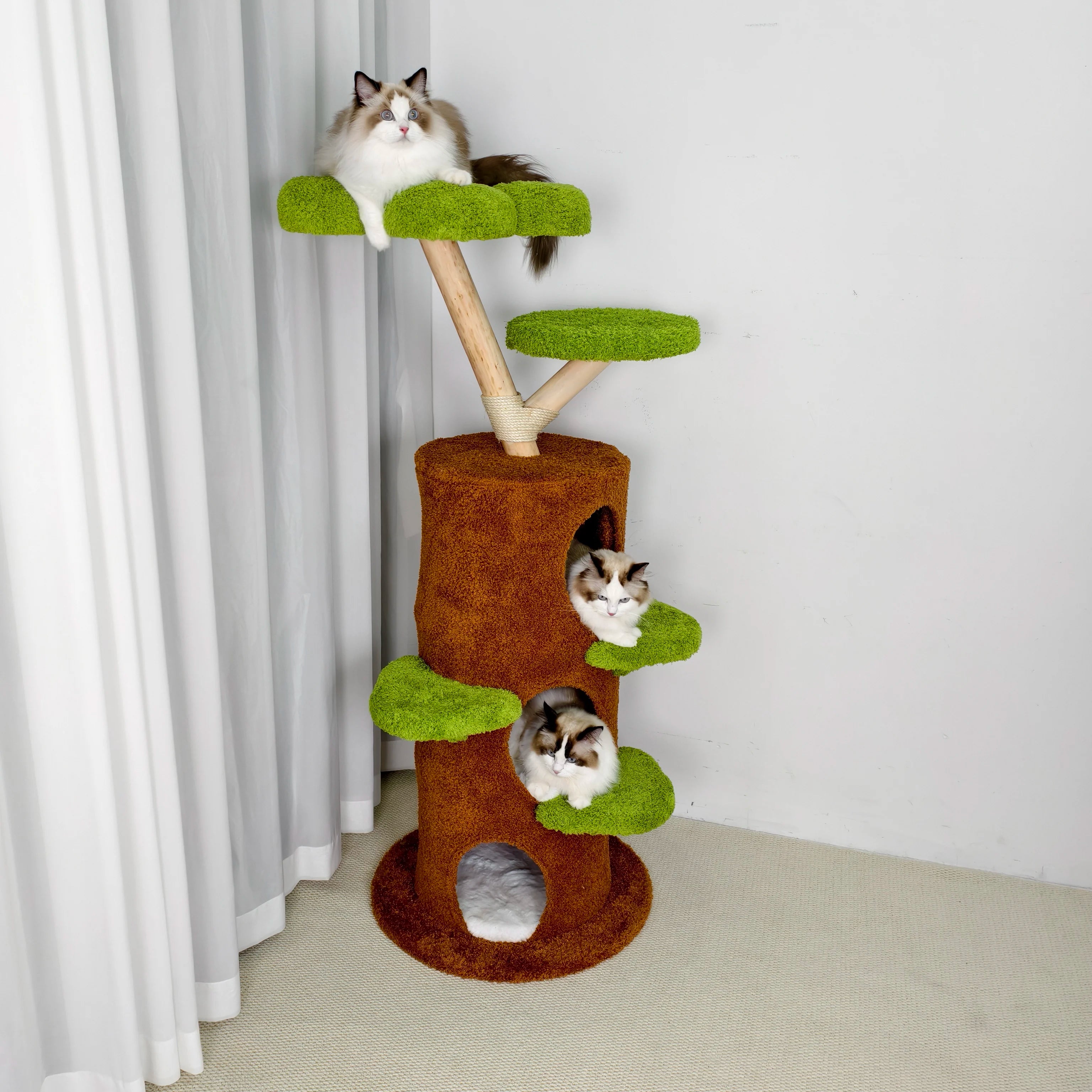S82a1f59222d443678b9780726979d9ebS - Pet Centric