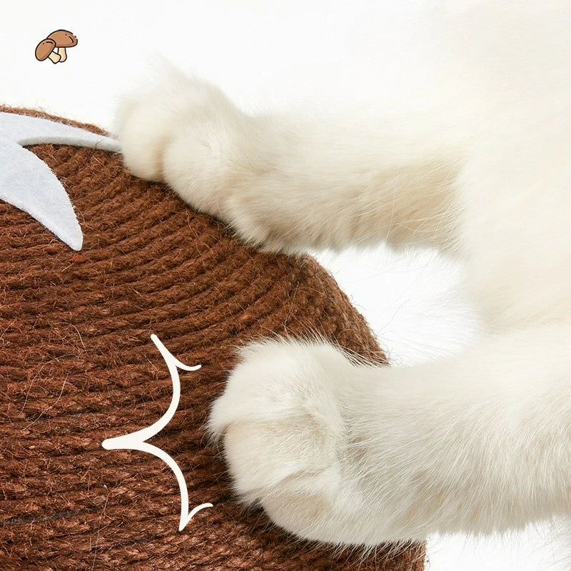 S853cce2787814b9bb3fa0dd0617892dbx - Pet Centric