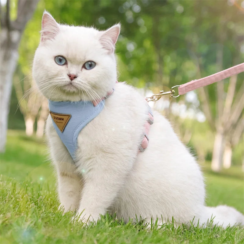 S881c948f6b6843d2b9847ec34b068fc8b - Pet Centric