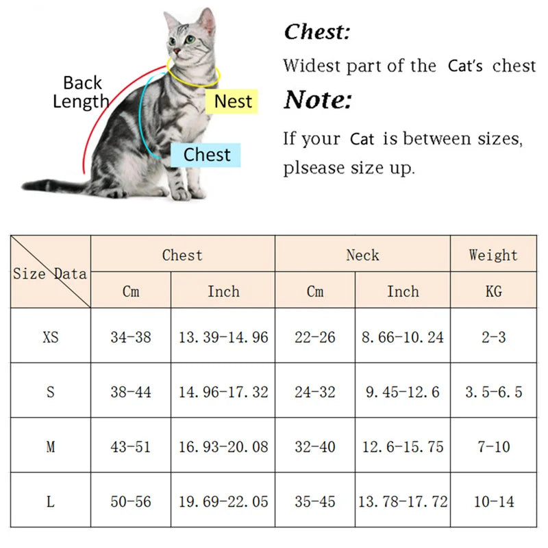 S88a9ccf4d54c419da07bb77415d86046L - Pet Centric