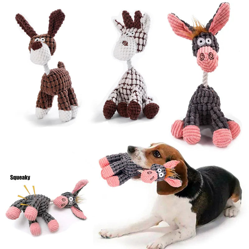 S89d32b9df34f4084bed364f437b495edC - Pet Centric
