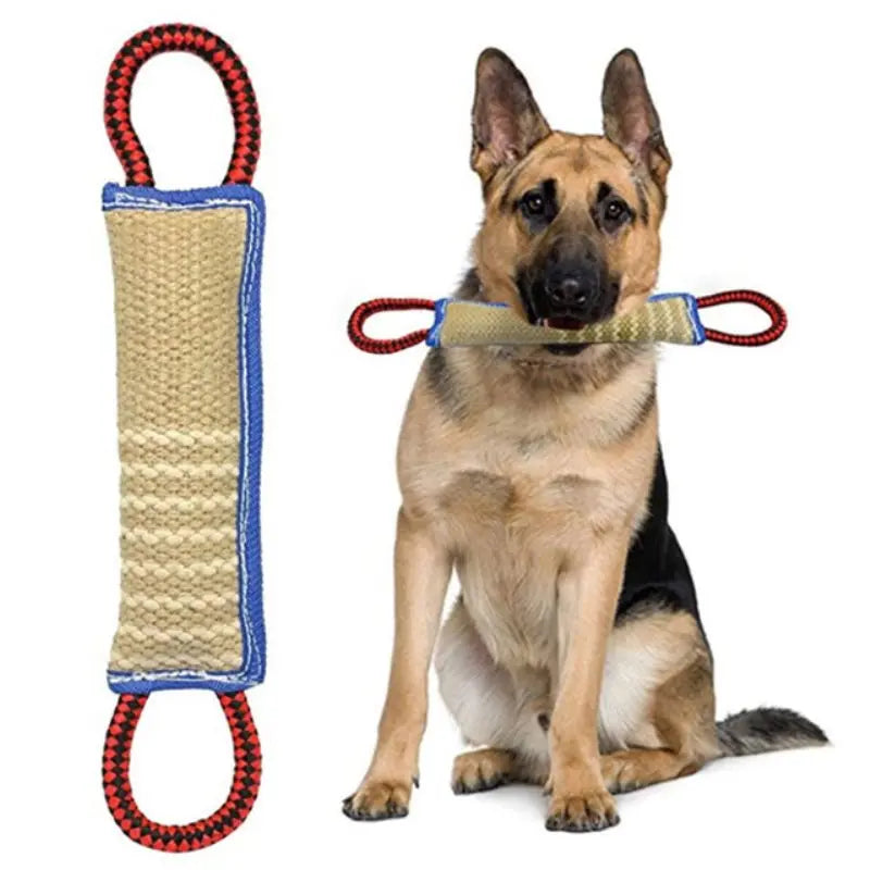 S8b26511819114cac9921656acbde9c2cX - Pet Centric