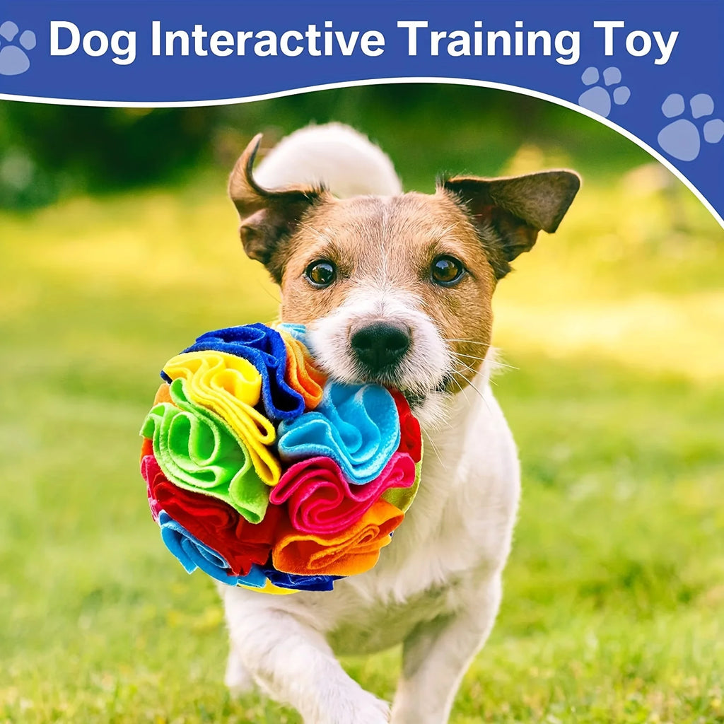 S8cd5df22f6aa4bdbbbb61aa9a14c6ffcb - Pet Centric