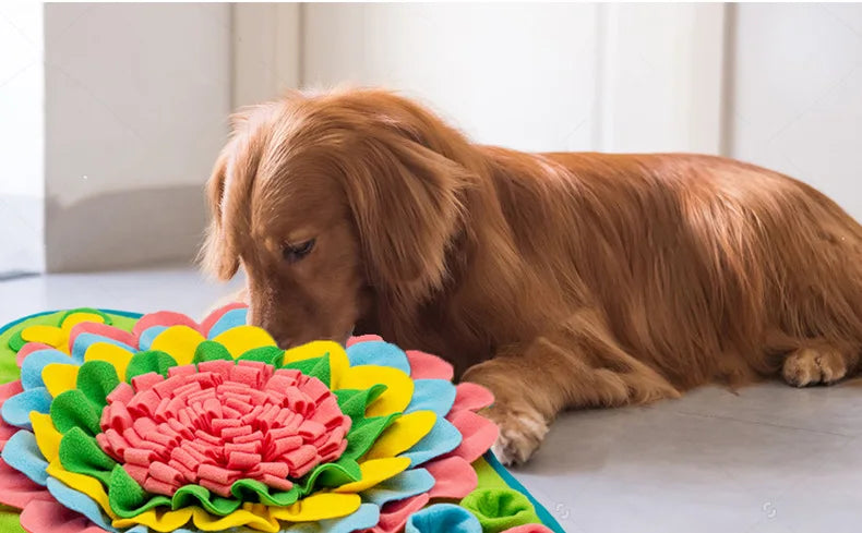 S8d89bab58a3d410a8d0f1d30163aae98T - Pet Centric