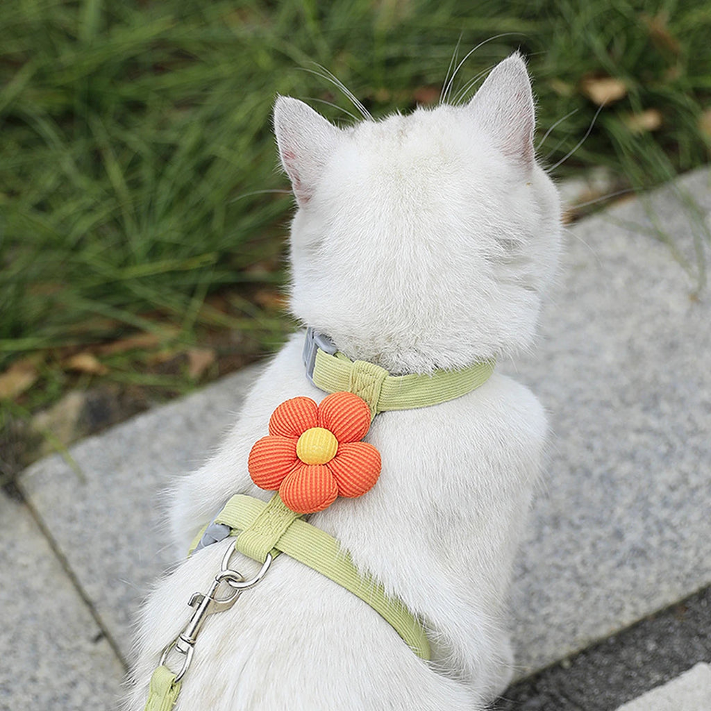 S8dbc837f79be4a5f80cb95ad1da97c5aC - Pet Centric