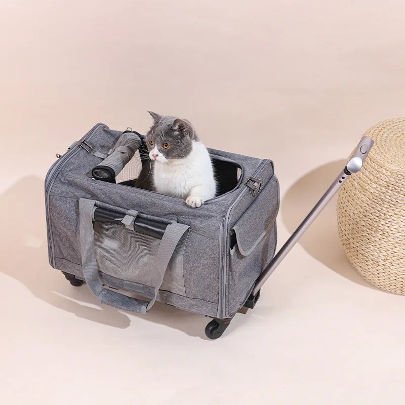 S8e6e42f8b9e4424383b3a45b7cc7eb80X - Pet Centric
