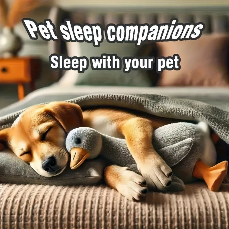 S8f29e92b4e9e4ea191fc85314e412b00q - Pet Centric