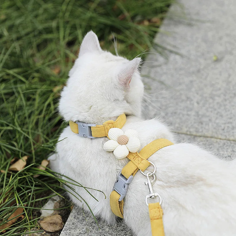 S9021b561156c4c95b13b798ba0d1eee8A - Pet Centric