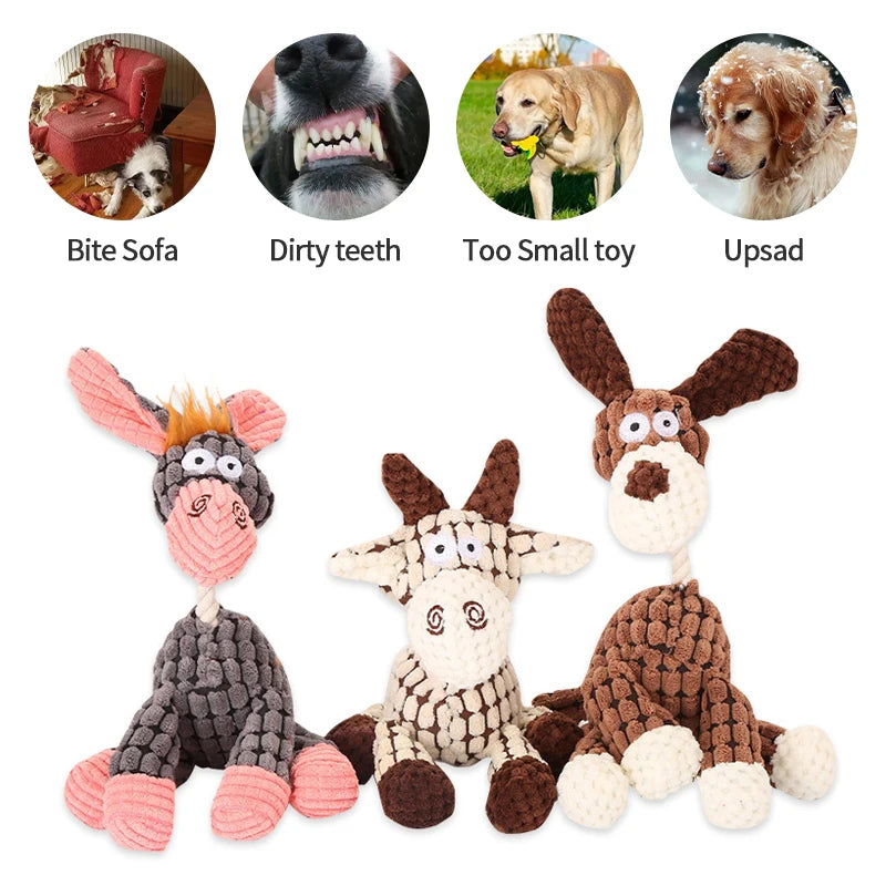 S906573af301c47b3870b425e876bf389x - Pet Centric