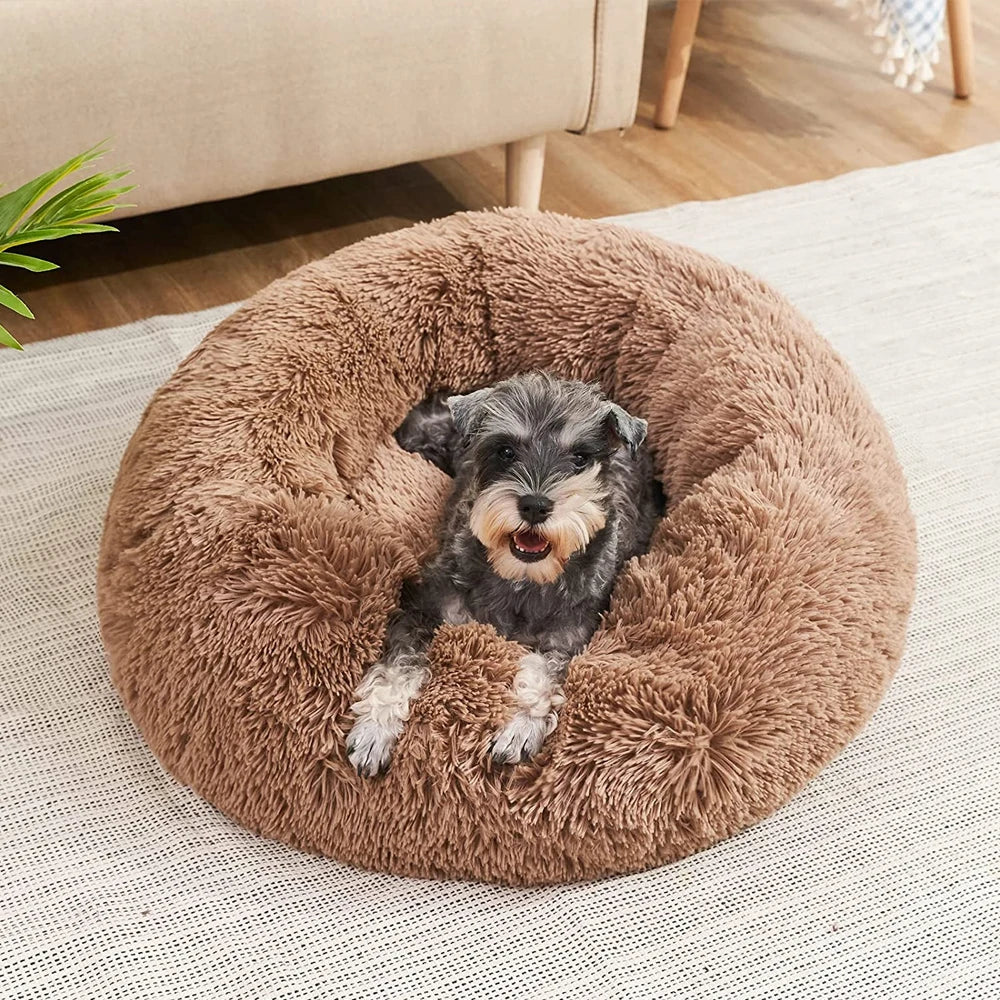 S971e3830cc4d44dcbf5effdc8dc5e455s - Pet Centric
