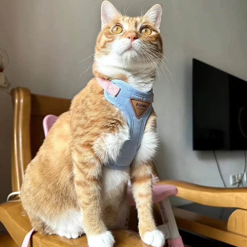 S98ce05a362bd43ebac3593d541519c03w - Pet Centric
