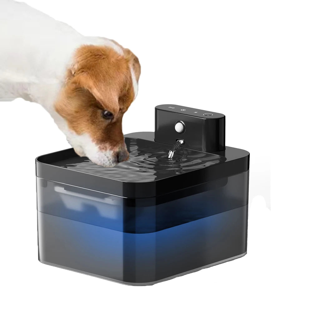 S9b80d5f9db5f471292ec7c399a740668k - Pet Centric