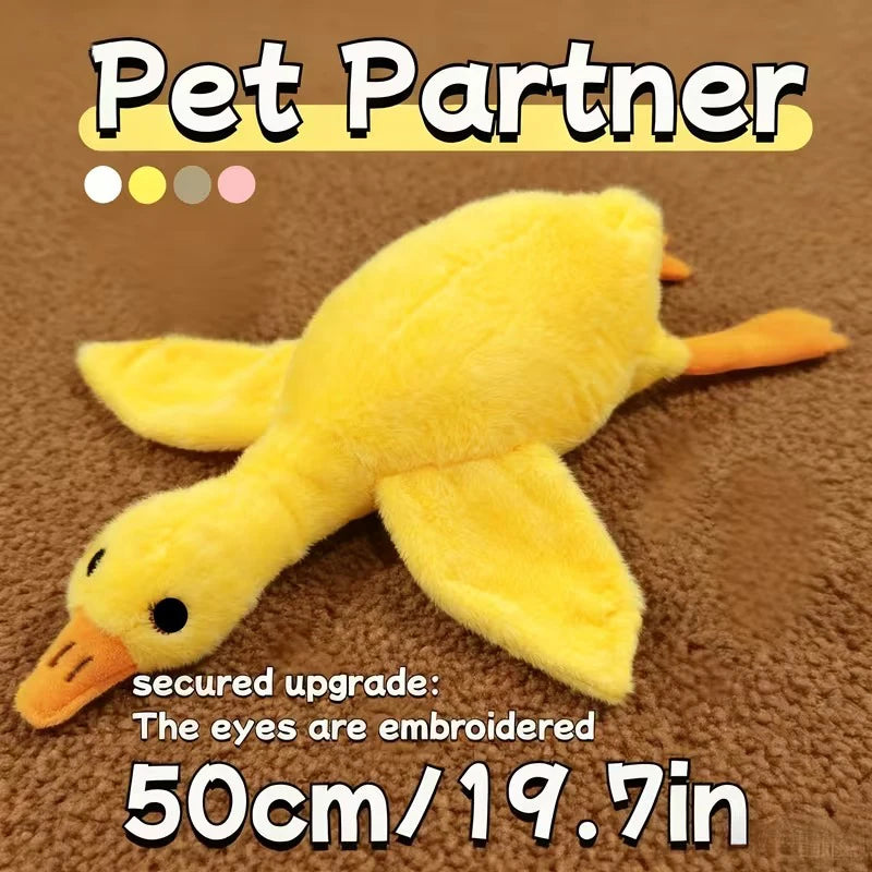 S9dbd40b2ce044a429ebb3b37a5c72f27V - Pet Centric