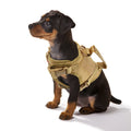 Sa444b19f36484f7c88f0ae2e433c1ae38 - Pet Centric