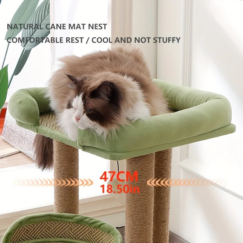 Sa5371d1b9ff6438ab6974d30e1706ff1B - Pet Centric