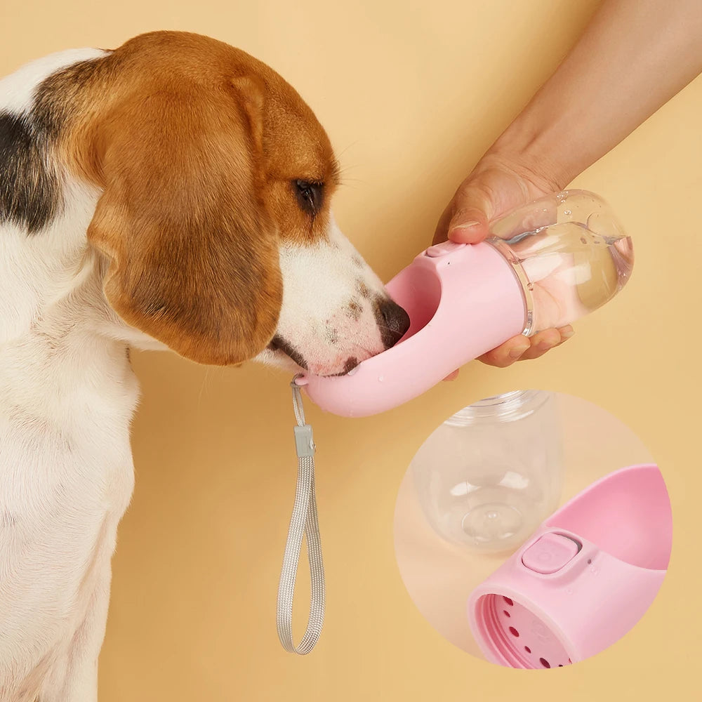 Saee69eb918c04c42863ffd69399697bb1 - Pet Centric