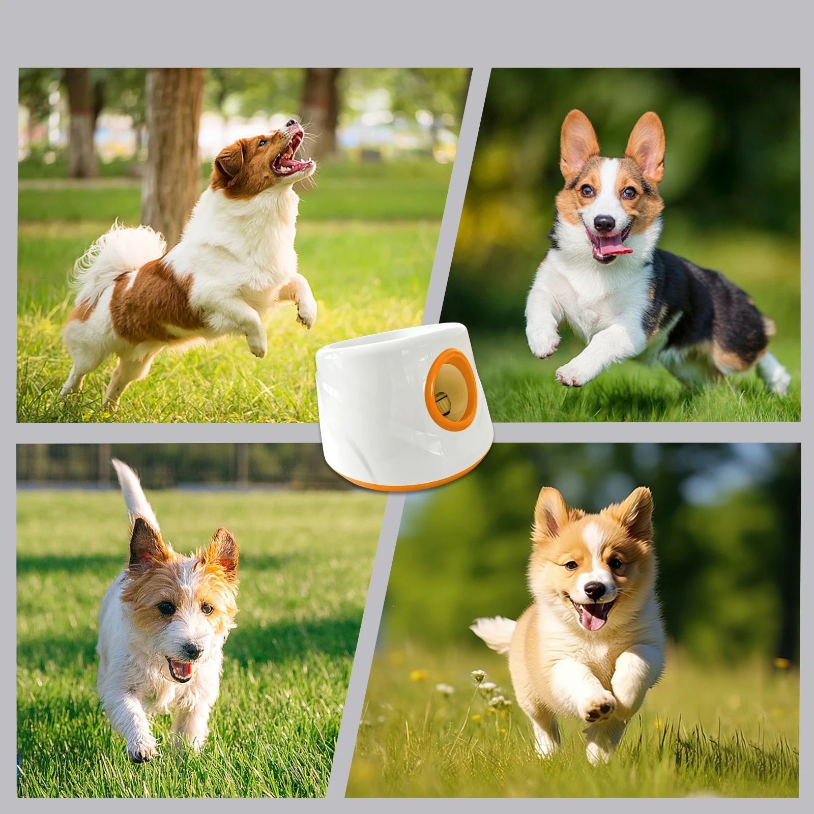 Automatic Ball Launcher for Dogs – Interactive Fetch Machine