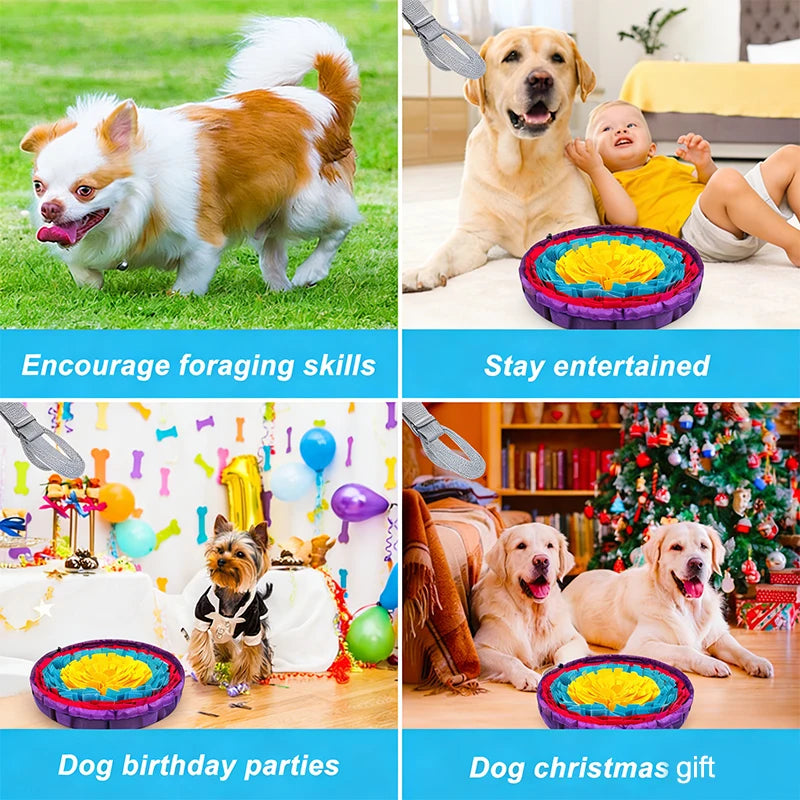 Sb6d102b71d614e21b60086c5e206c3ade - Pet Centric