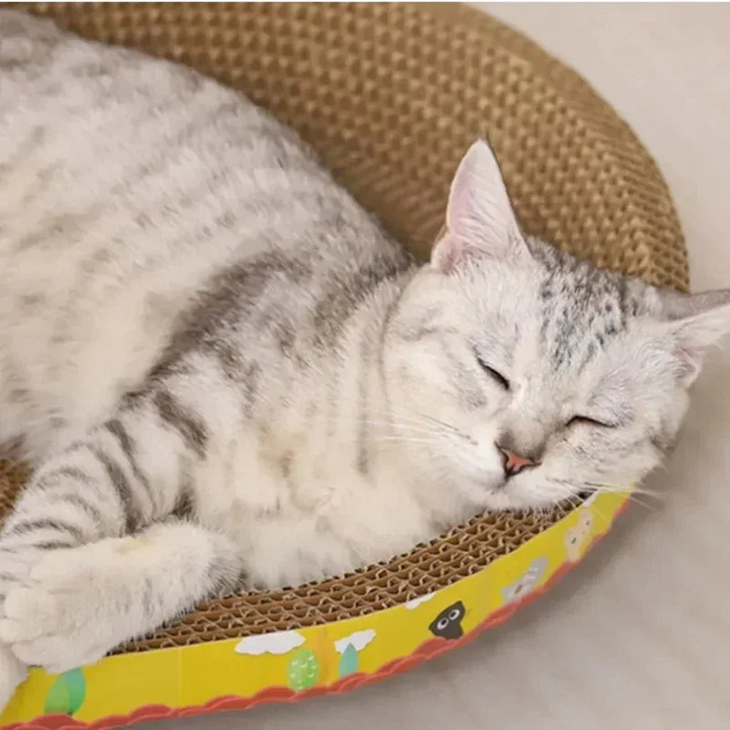 Sb7f1a24d01144f04a69882840992d800u - Pet Centric