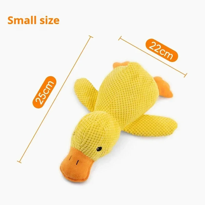 Sbc1c7afaef8c4338bbc13c0a4d2bb04dm - Pet Centric