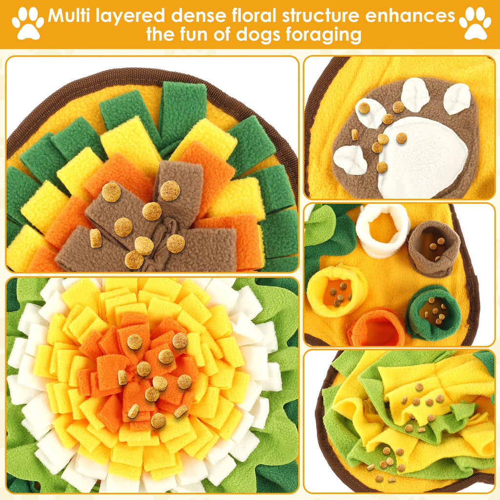 Sc74a3cdbc32d4312b2984b35f2dc3da5r - Pet Centric