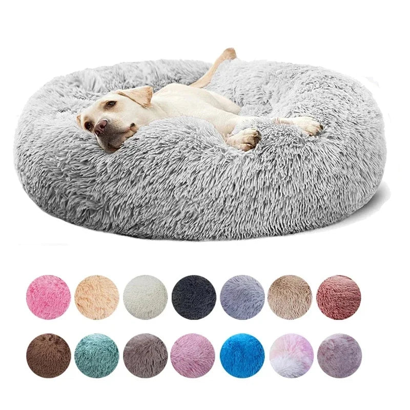 Scce7816473d1499b840dfea9f4f0b96fz - Pet Centric
