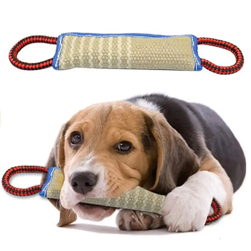 Sce863dda3e554c2c9b173c032772e700x - Pet Centric