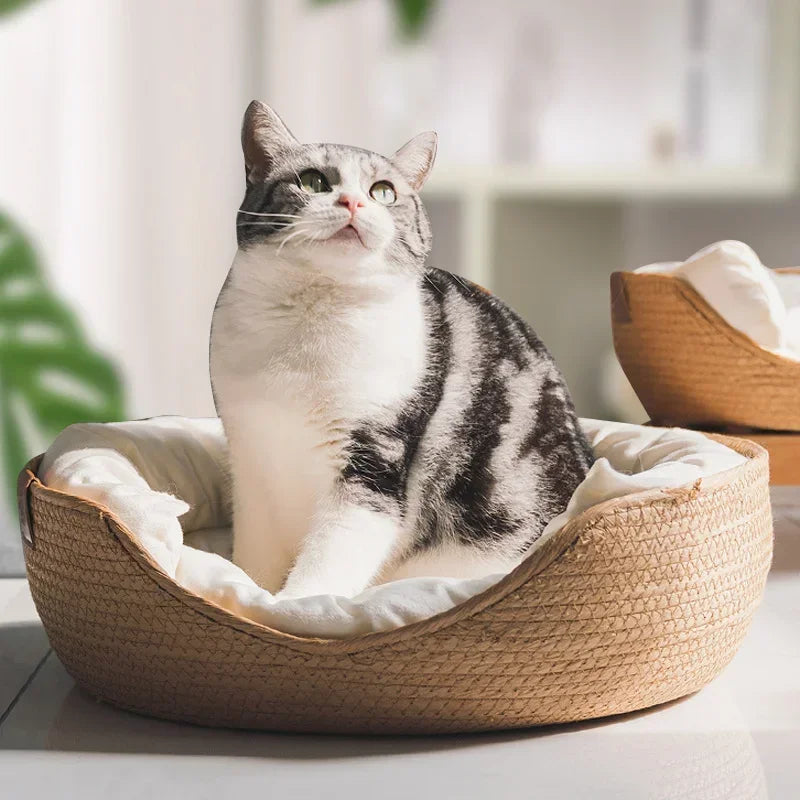 Scebea6c040464e6592f30893284d69a11 - Pet Centric