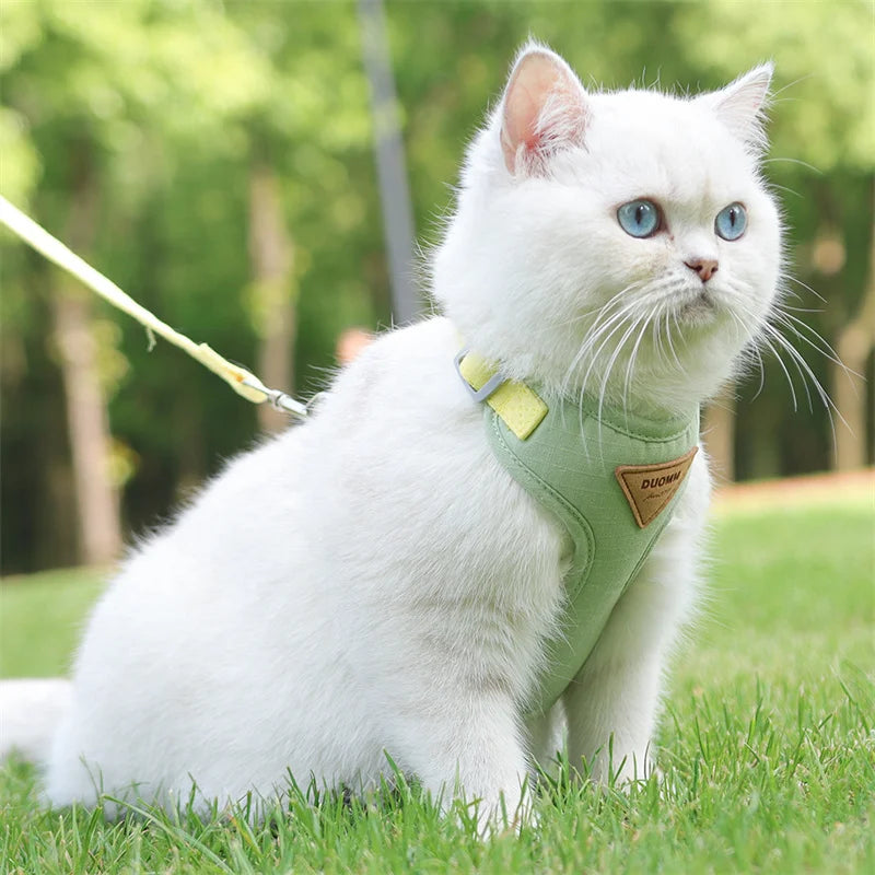 Sd2eec9dd2b8f4569878ba164f27df659r - Pet Centric