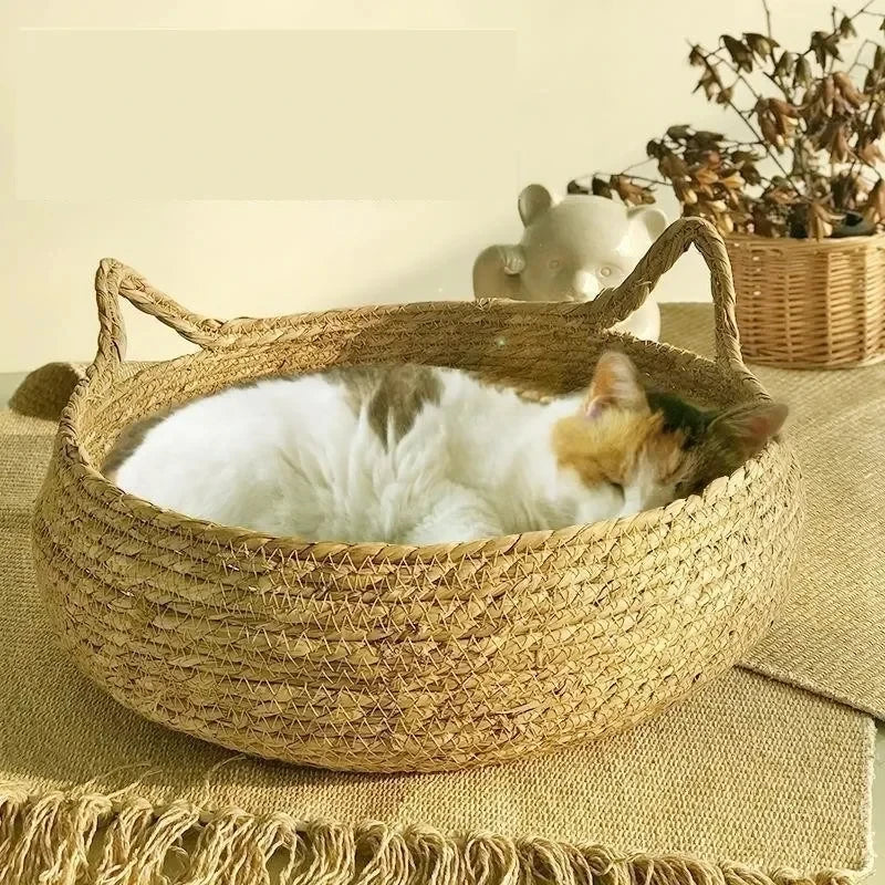 Sd9c27f2be892484a945cce7aa67f21f6v - Pet Centric