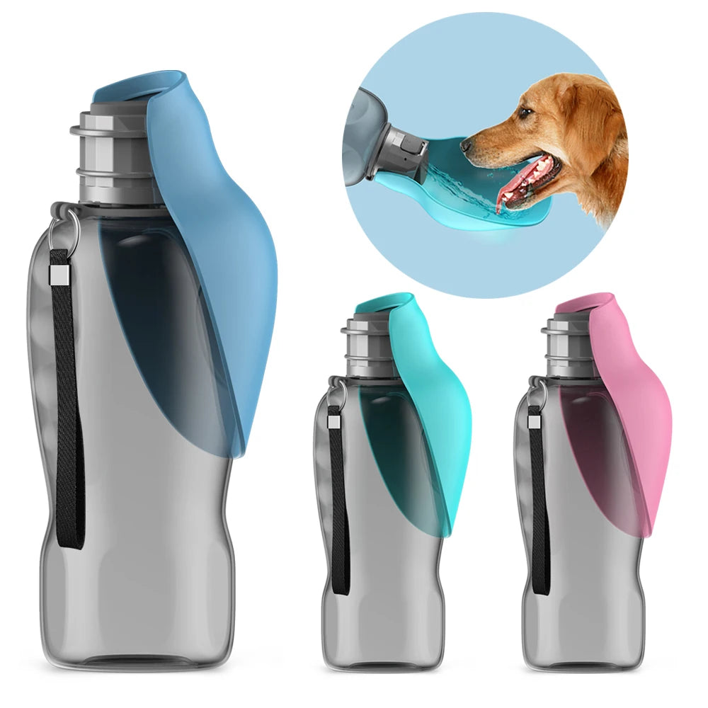 Sdf14226de332464988a0de7e2b2ad5ae5 - Pet Centric