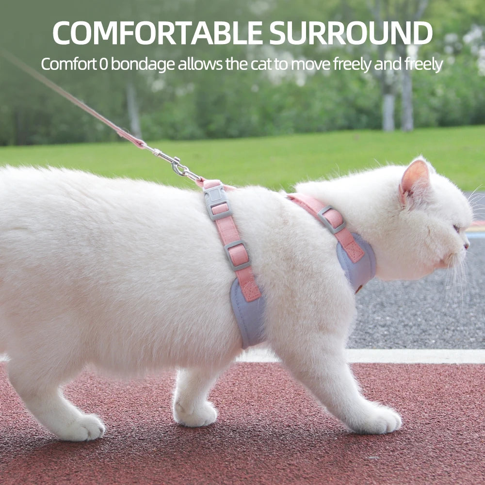 Se5ef0ed95a944decbcb889598ef52dbeC - Pet Centric