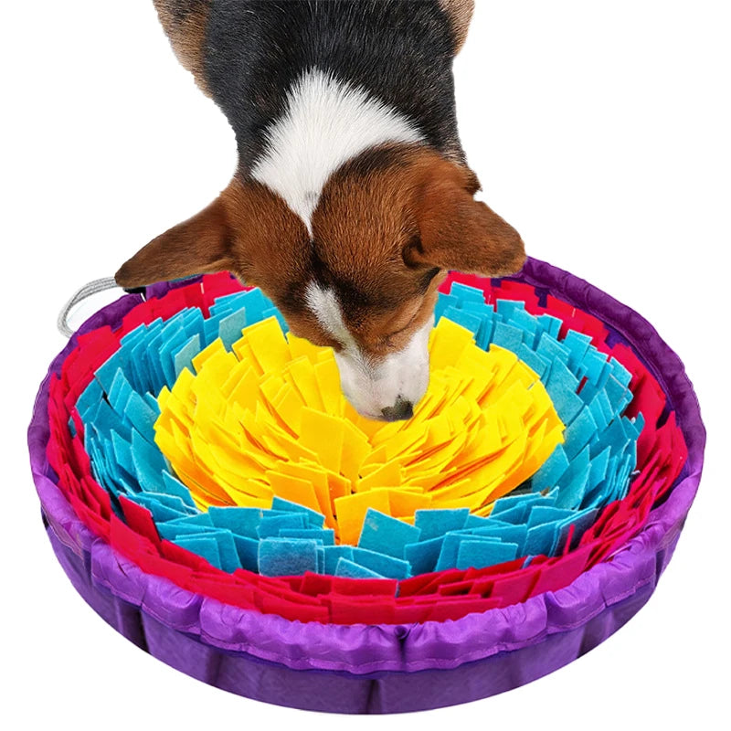 Seaf5a2b912df47b791ae557f42ca621cY - Pet Centric