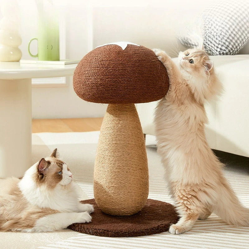 Seb4ca02494b34bfeb0231aba90e05be8k - Pet Centric