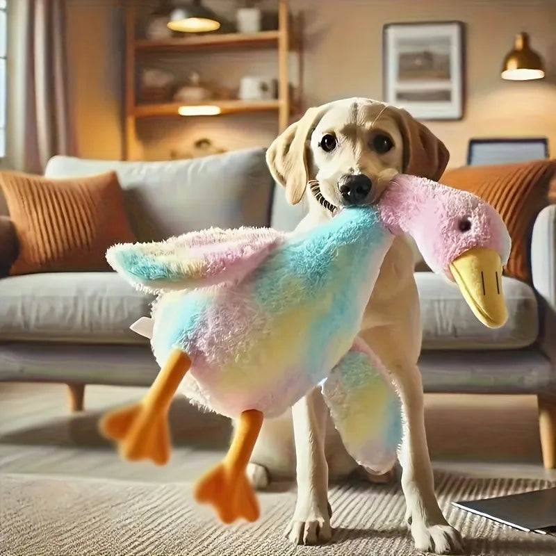 Sebd6486467ab4c9c851fcd769a40c19d9 - Pet Centric