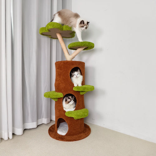 Sec21d334639640a584424593023ed126o - Pet Centric