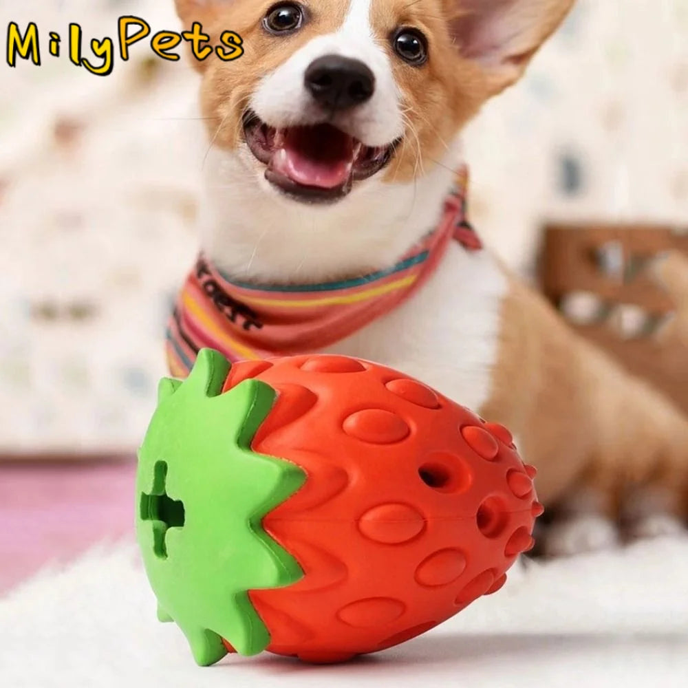 Sf32447069667406c8f597d7a6a052b3bw - Pet Centric