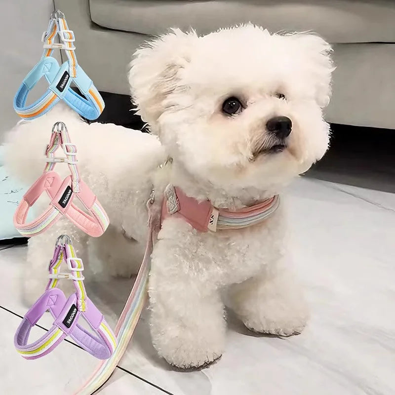 Sf58c2cf1b8b2435f8b443ac9dac00e972 - Pet Centric