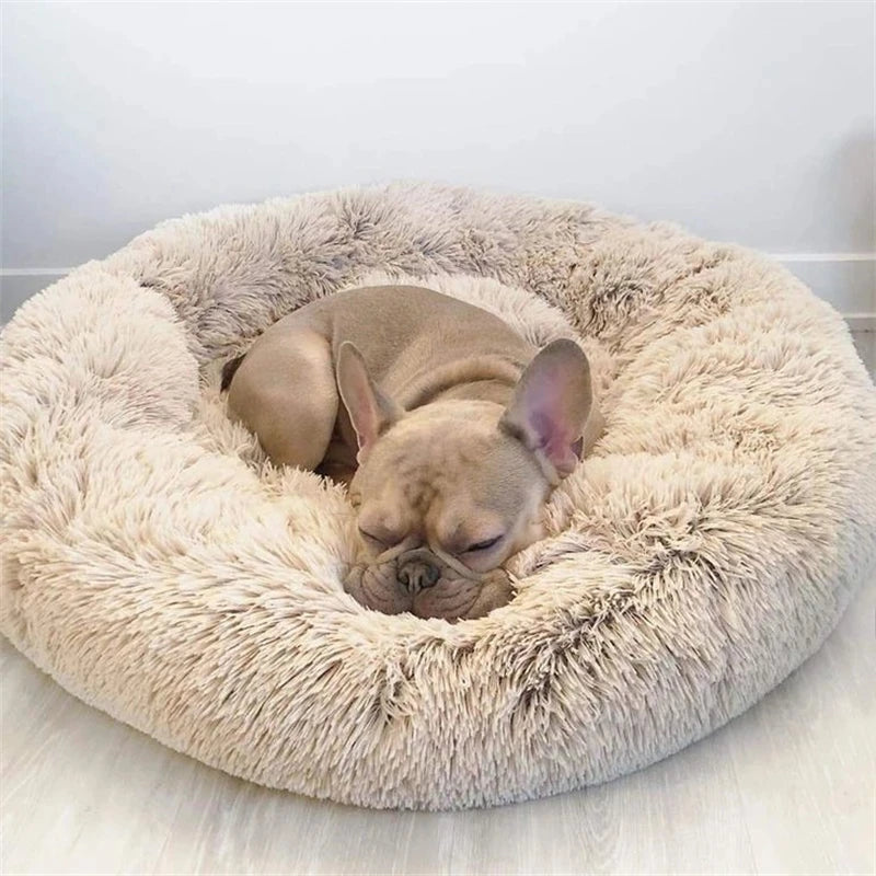 Sfb5ed626e55742c0a23f212665e651c7N - Pet Centric